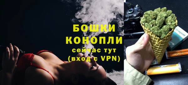 стаф Снежногорск
