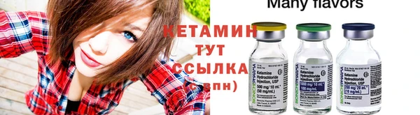 твердый Арсеньев