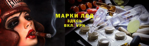 бошки Аркадак