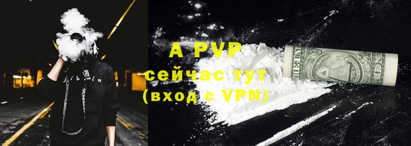 твердый Арсеньев