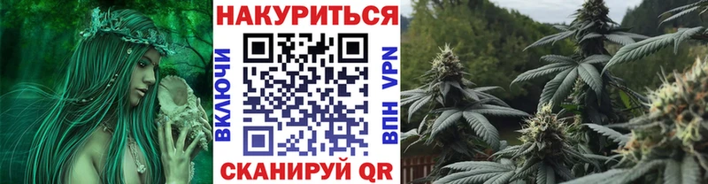Купить где  Советская Гавань  МАРИХУАНА SATIVA & INDICA 